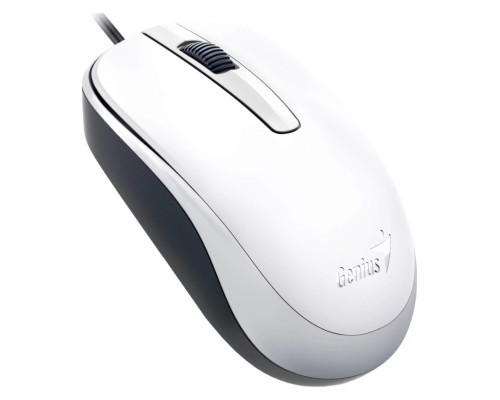 Мышь GENIUS DX-120 белый (31010010401)
