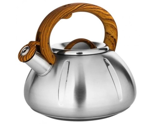 Чайник Hoffmann НМ-55170 3,3л.