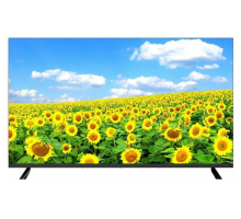 Телевизор AIWA 43 JU43TS180G