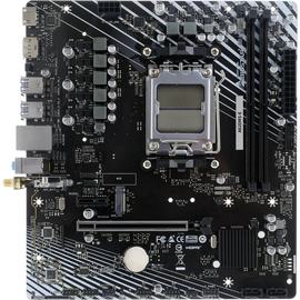  Материнская плата Biostar A620MS-E 