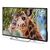  50" Телевизор PolarLine 50PU11TC-SM черный 3840x2160, 4K Ultra HD, 60 Гц, Wi-Fi, Smart TV, Android TV 