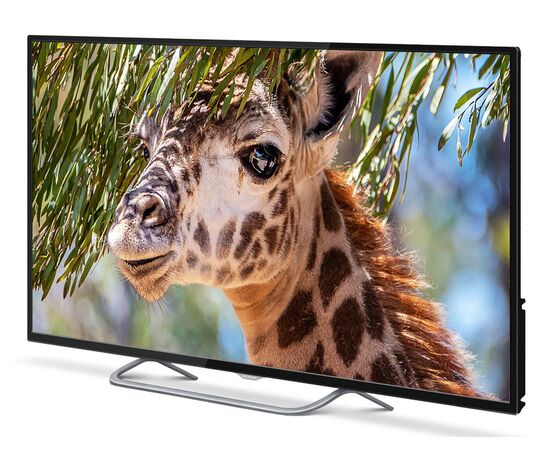  50" Телевизор PolarLine 50PU11TC-SM черный 3840x2160, 4K Ultra HD, 60 Гц, Wi-Fi, Smart TV, Android TV 